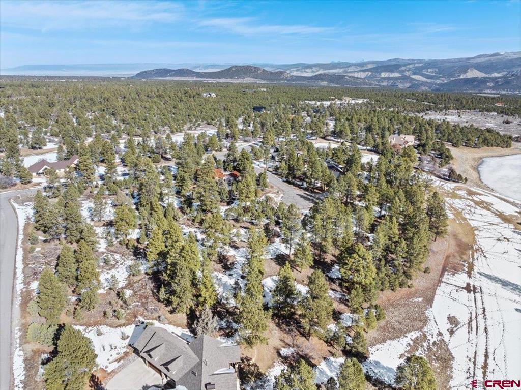 Tbd Lot 564 Marmot Ridgway CO 81432