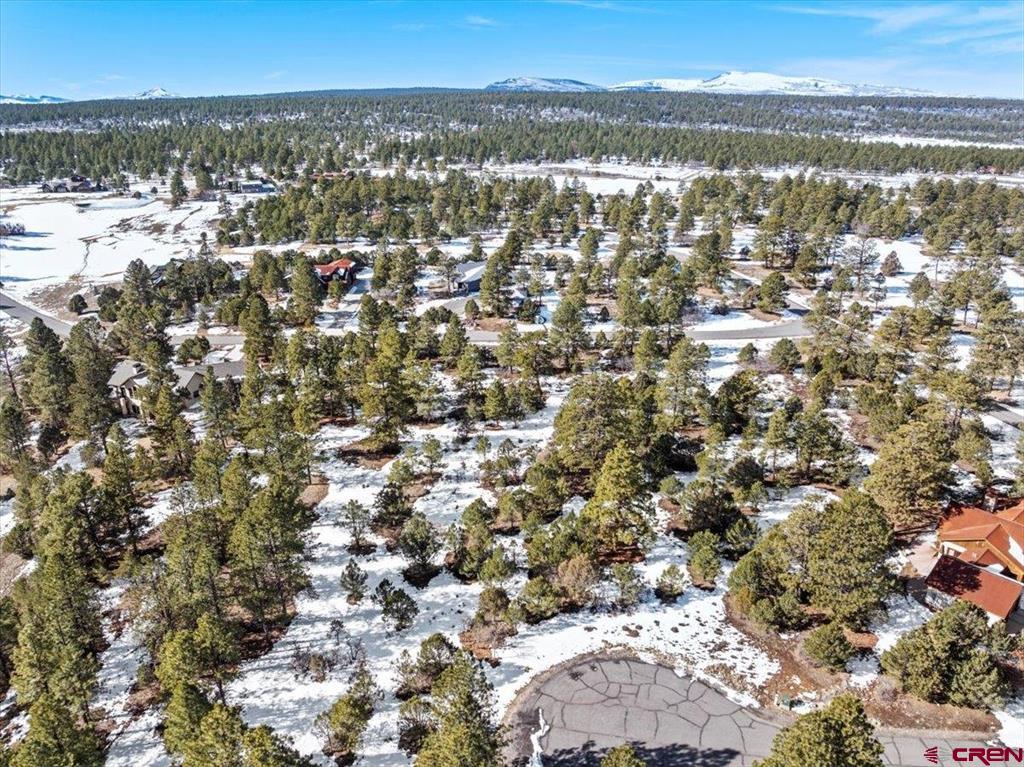 Tbd Lot 564 Marmot Ridgway CO 81432
