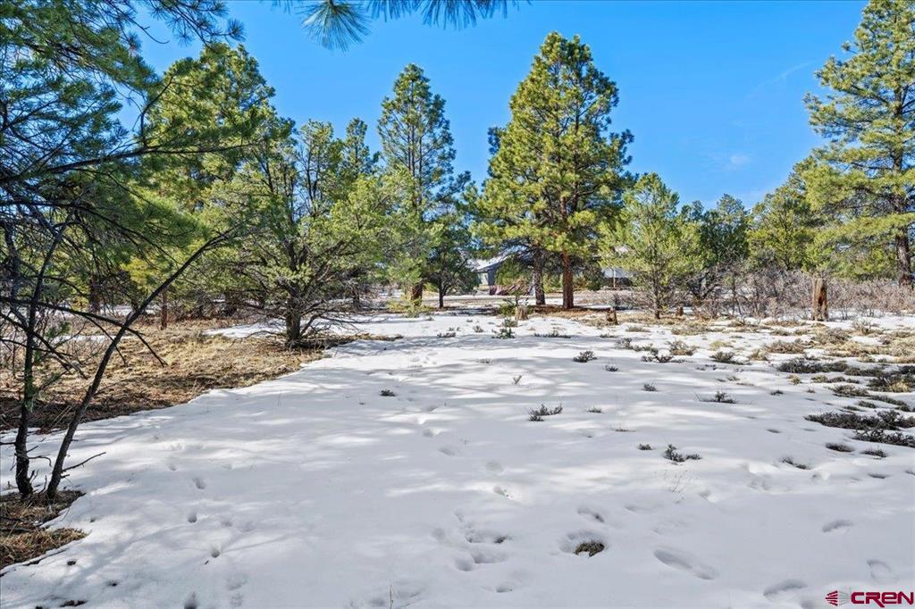 Tbd Lot 564 Marmot Ridgway CO 81432