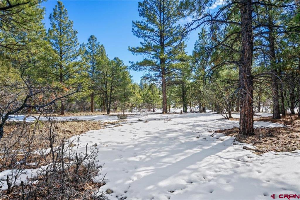 Tbd Lot 564 Marmot Ridgway CO 81432