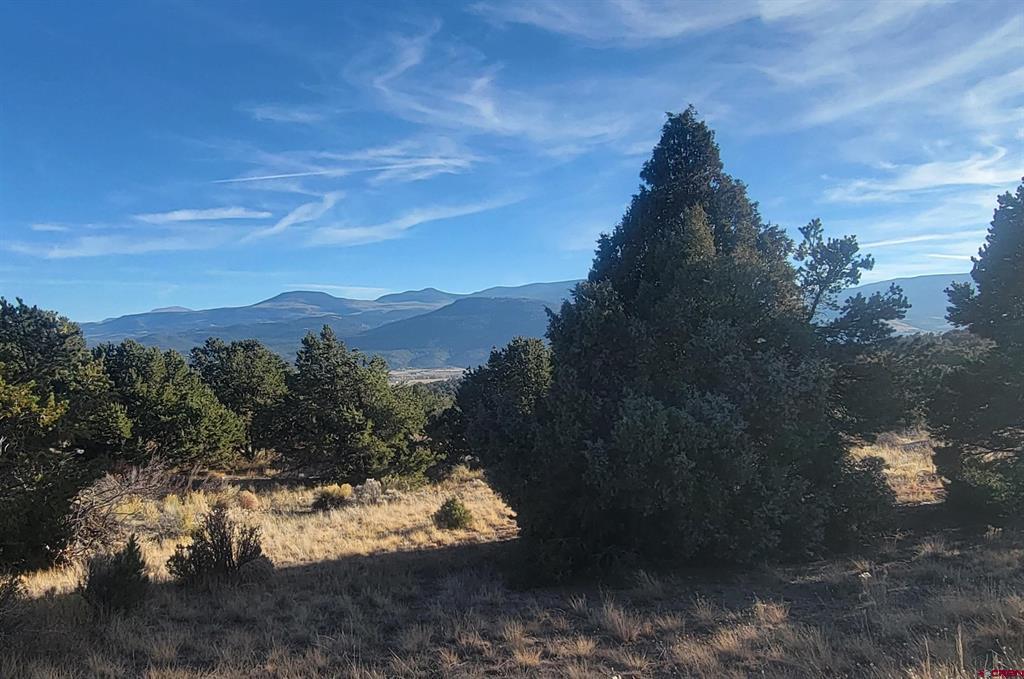 1094 Valley View Road South Fork CO 81154