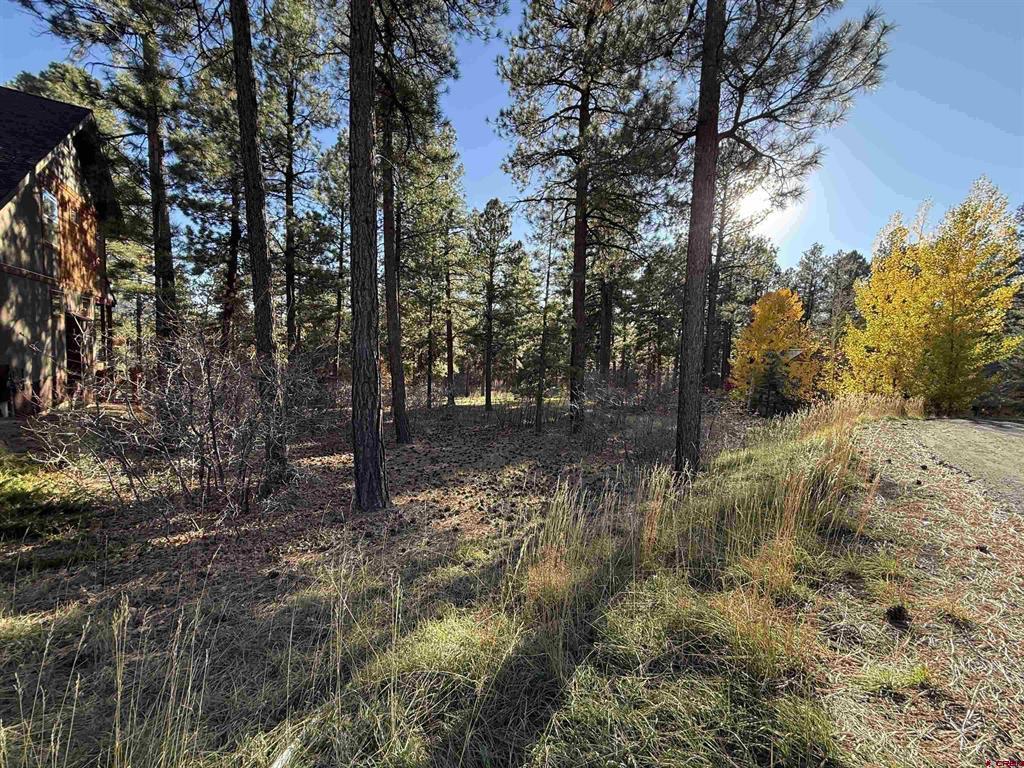 65 Mill Creek Court Durango CO 81301
