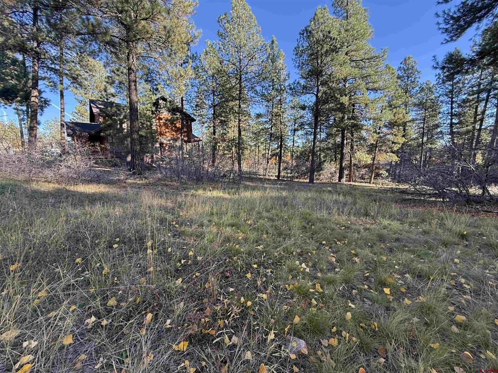 65 Mill Creek Court Durango CO 81301