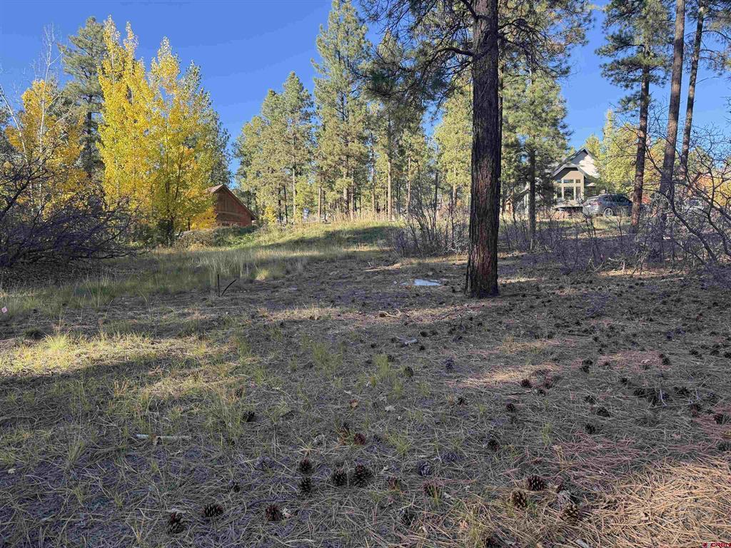 65 Mill Creek Court Durango CO 81301