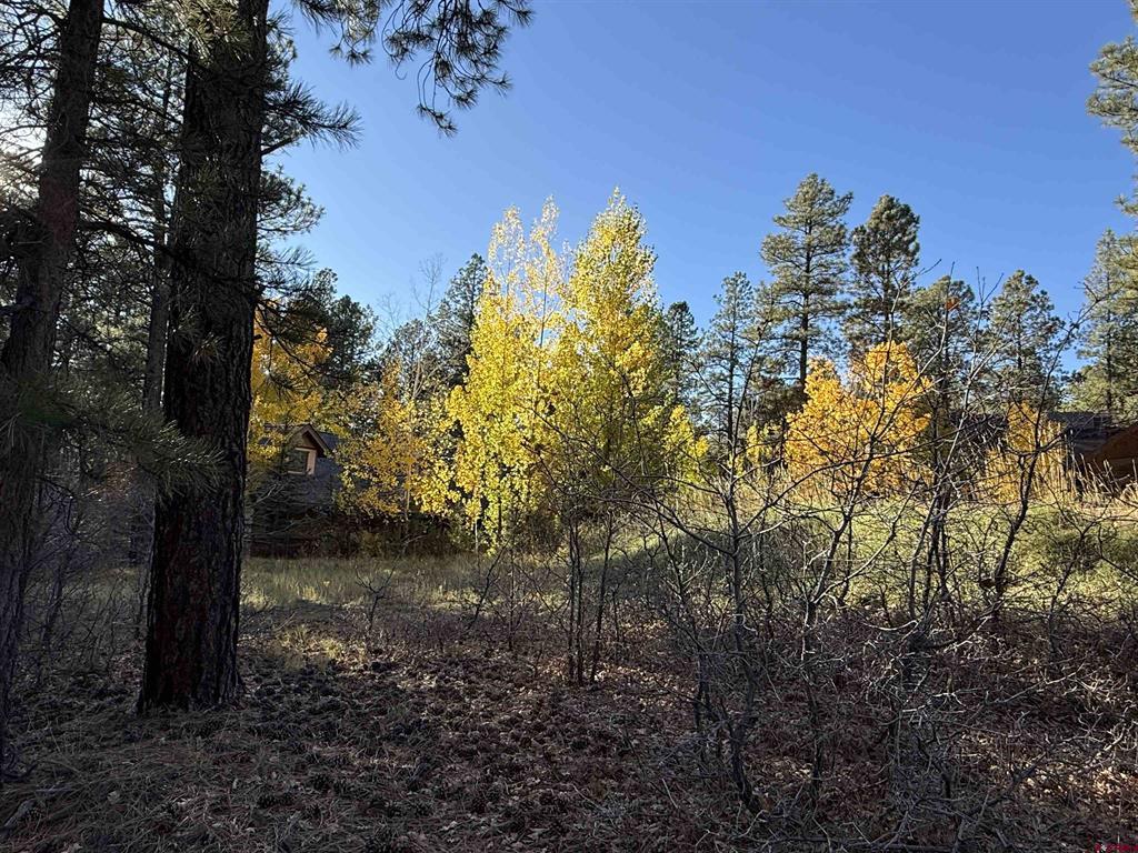 65 Mill Creek Court Durango CO 81301