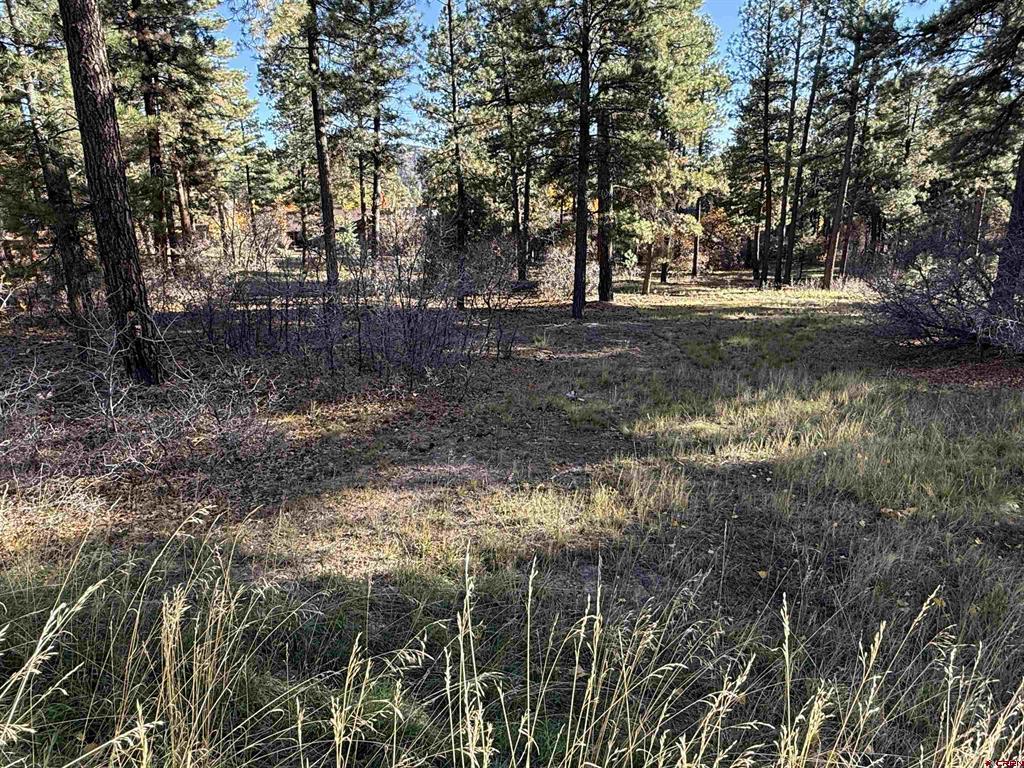 65 Mill Creek Court Durango CO 81301