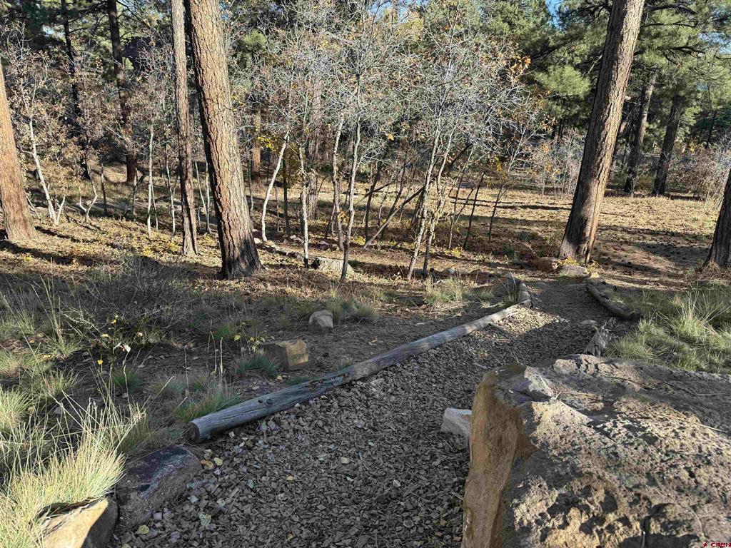65 Mill Creek Court Durango CO 81301