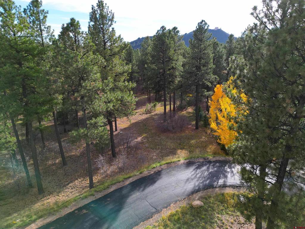 65 Mill Creek Court Durango CO 81301