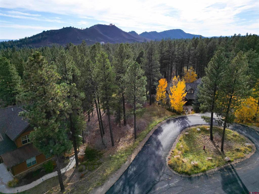 65 Mill Creek Court Durango CO 81301