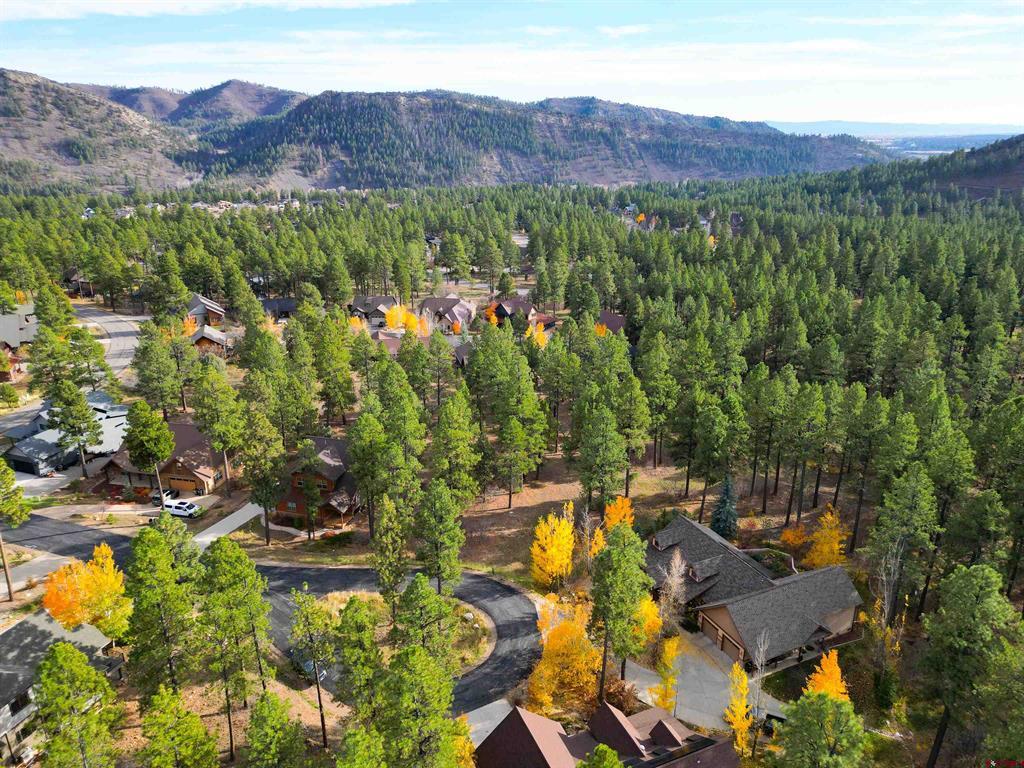 65 Mill Creek Court Durango CO 81301