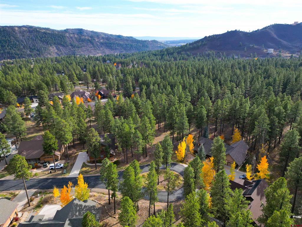 65 Mill Creek Court Durango CO 81301