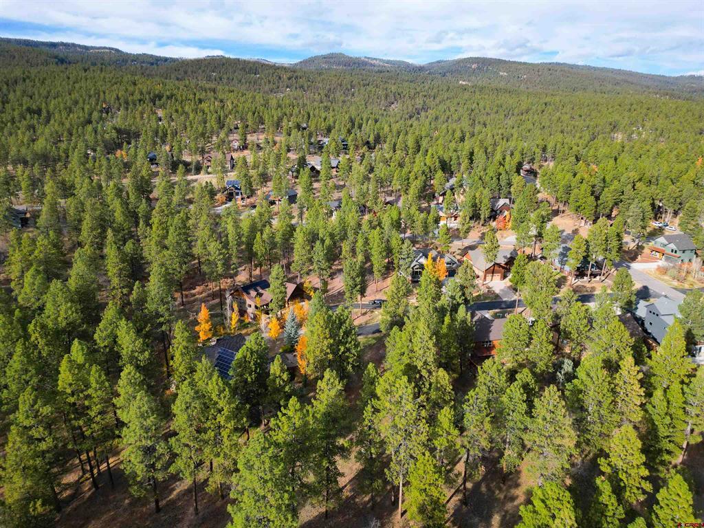 65 Mill Creek Court Durango CO 81301