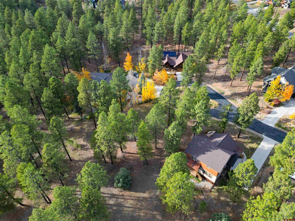 65 Mill Creek Court Durango CO 81301