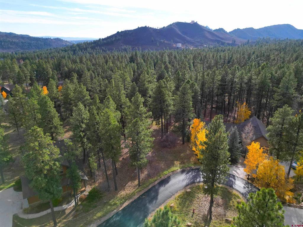 65 Mill Creek Court Durango CO 81301