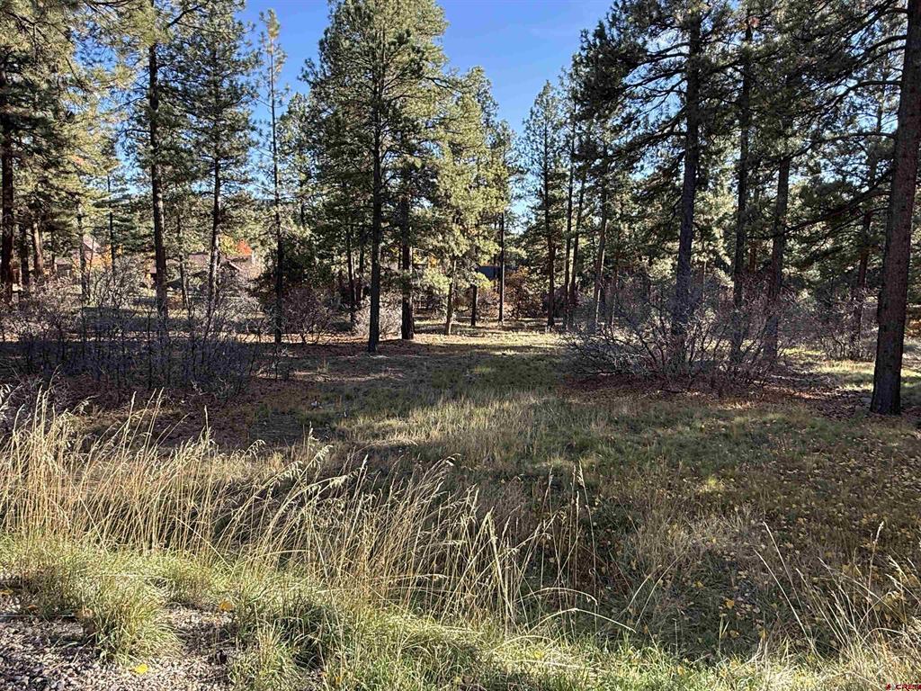 65 Mill Creek Court Durango CO 81301