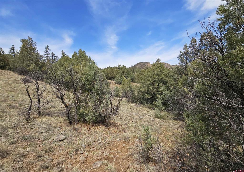 206 Alcazar Place Pagosa Springs CO 81147
