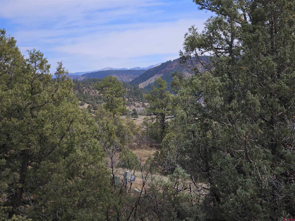 206 Alcazar Place Pagosa Springs CO 81147