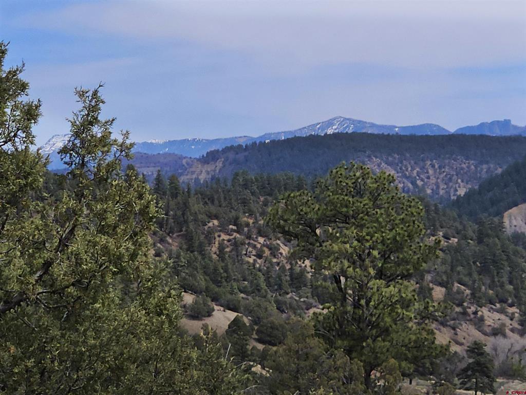 206 Alcazar Place Pagosa Springs CO 81147