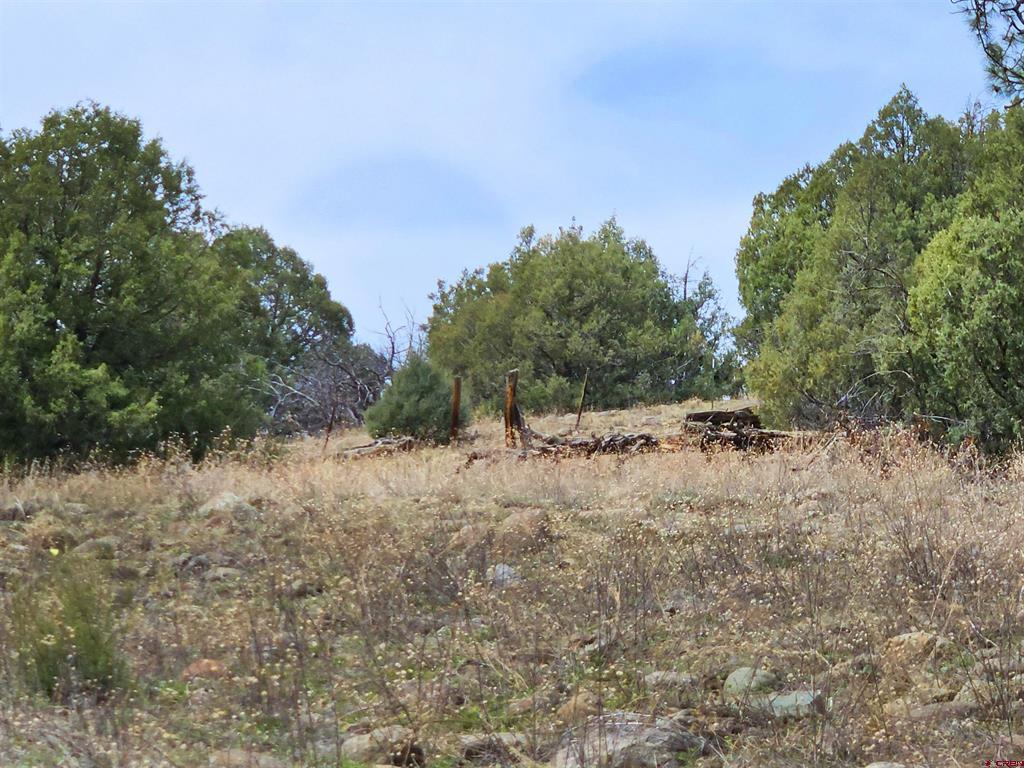 206 Alcazar Place Pagosa Springs CO 81147