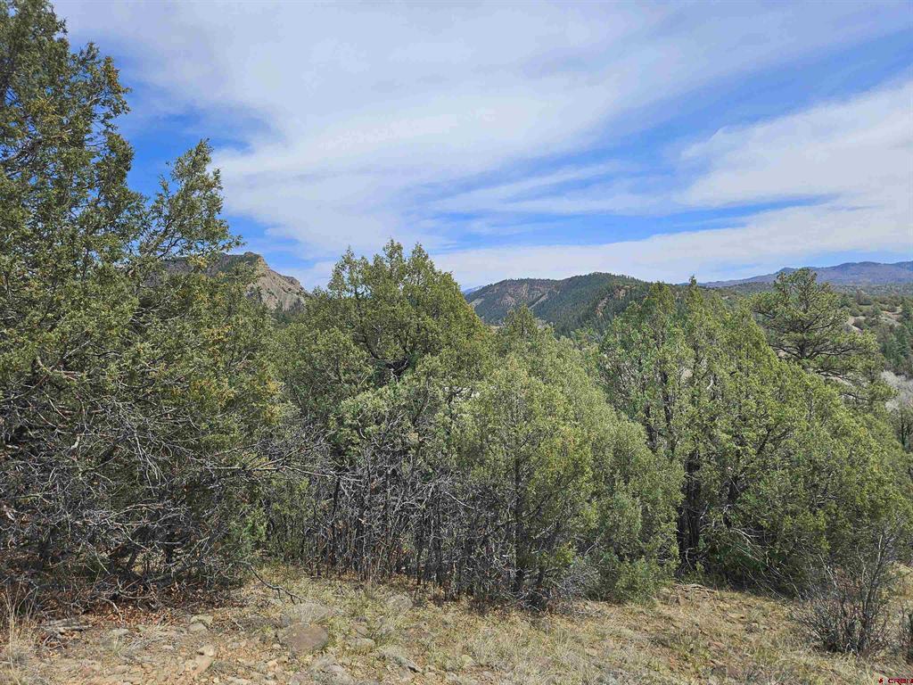206 Alcazar Place Pagosa Springs CO 81147