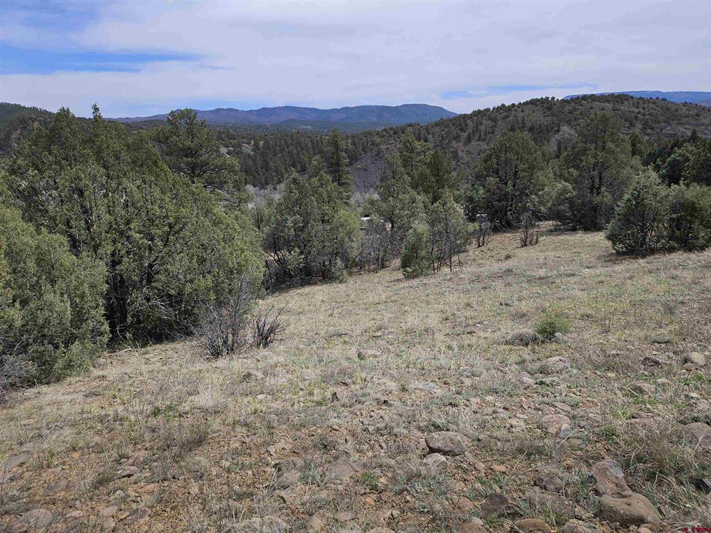 206 Alcazar Place Pagosa Springs CO 81147