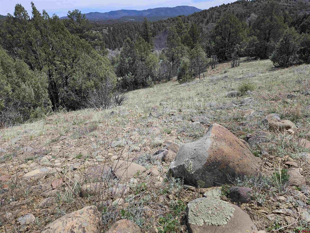 206 Alcazar Place Pagosa Springs CO 81147