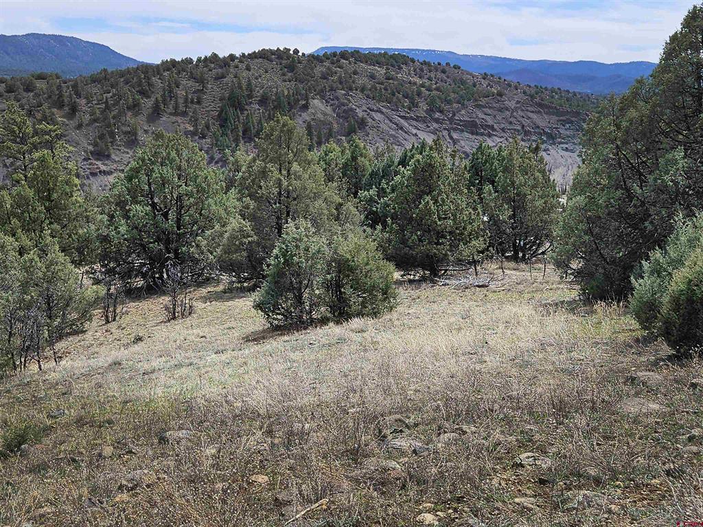 206 Alcazar Place Pagosa Springs CO 81147
