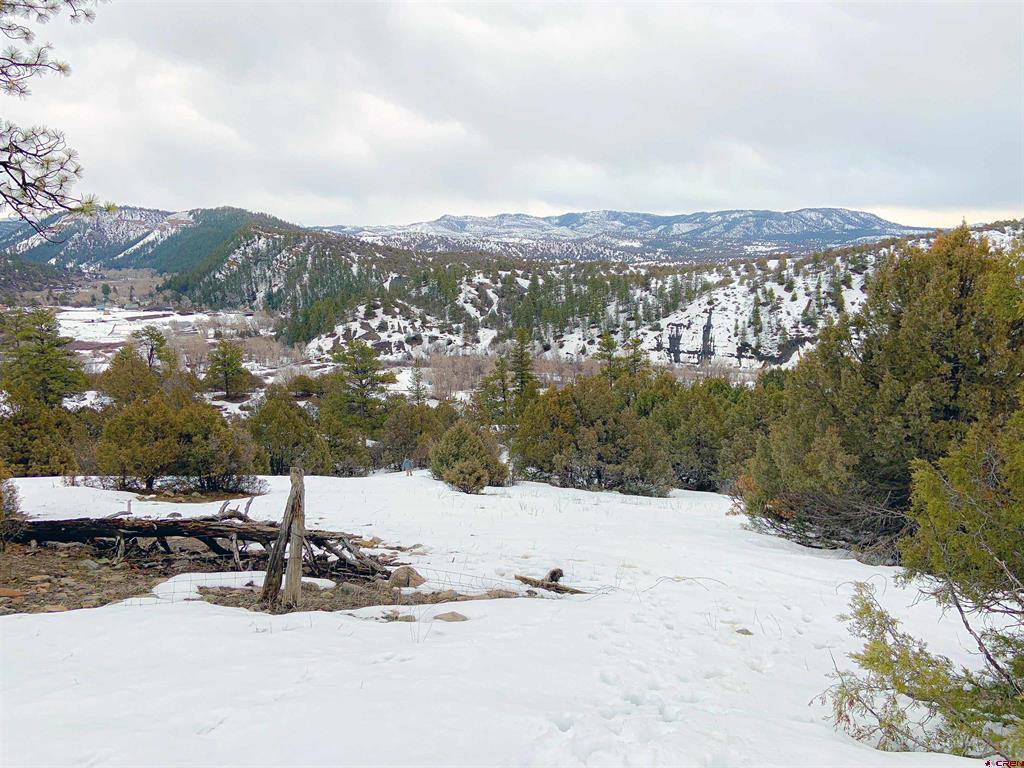 206 Alcazar Place Pagosa Springs CO 81147