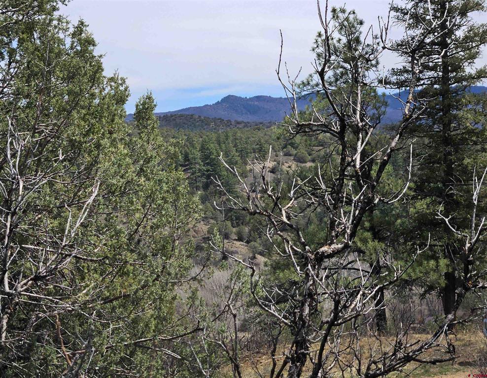 206 Alcazar Place Pagosa Springs CO 81147