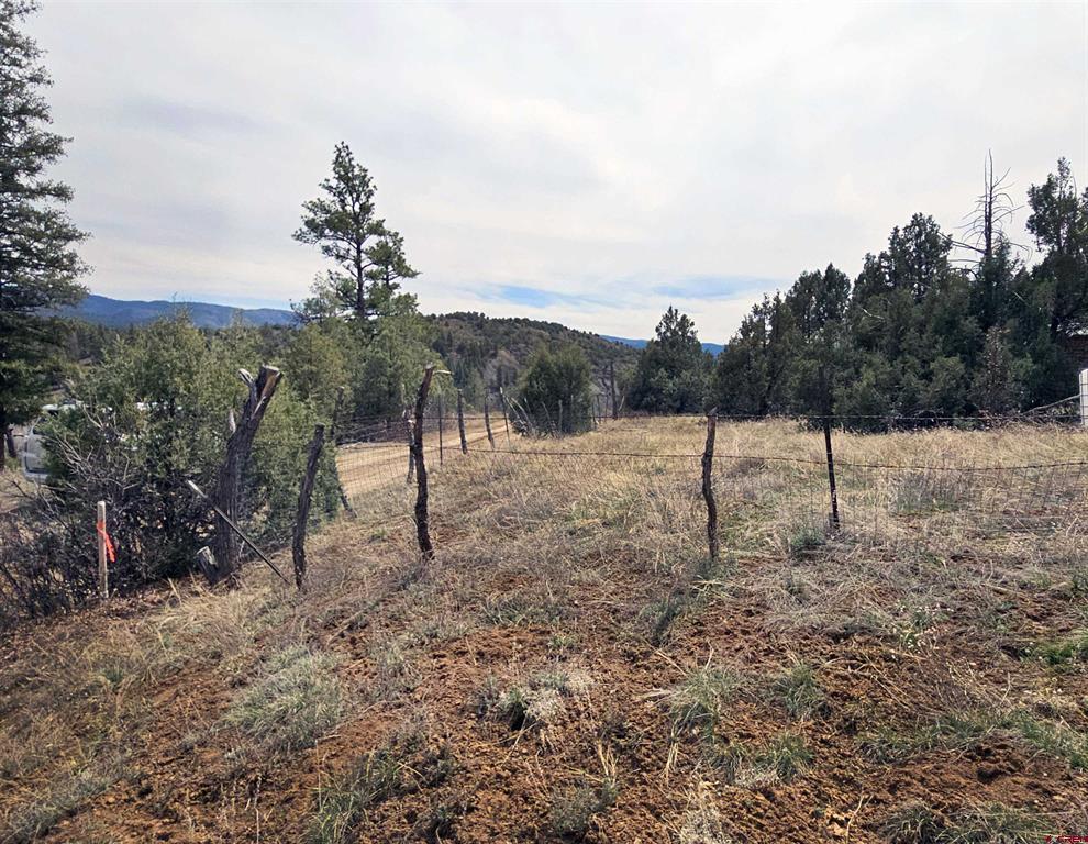 206 Alcazar Place Pagosa Springs CO 81147