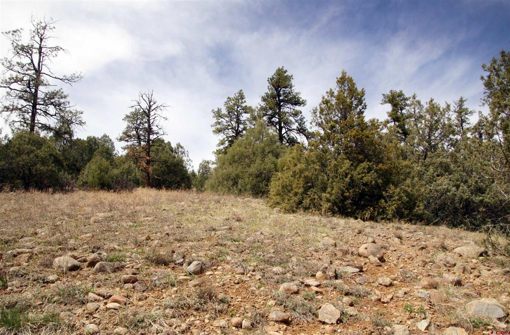 206 Alcazar Place Pagosa Springs CO 81147