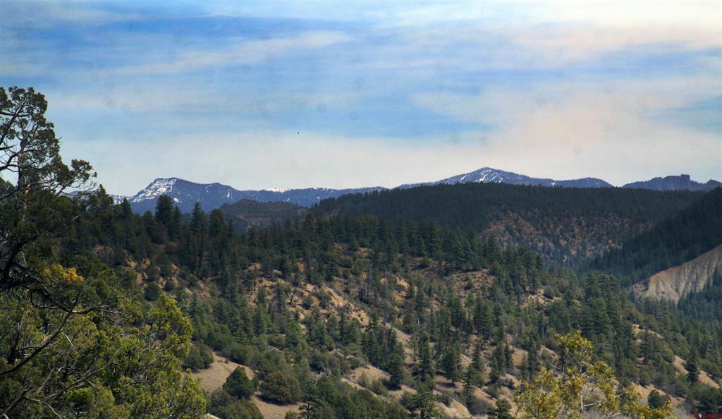 206 Alcazar Place Pagosa Springs CO 81147