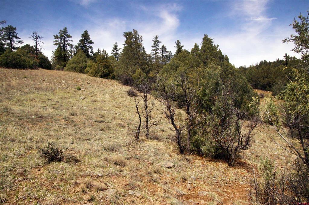206 Alcazar Place Pagosa Springs CO 81147