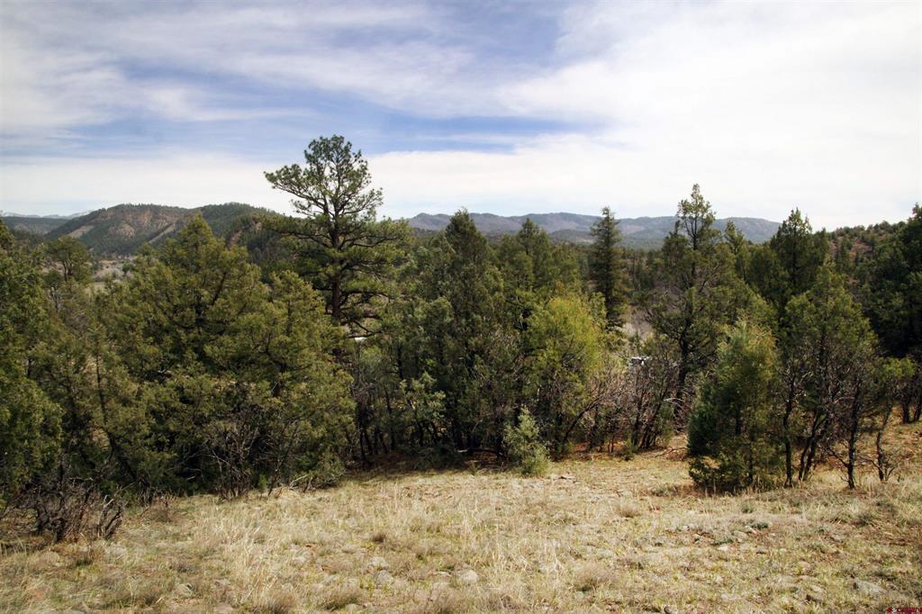 206 Alcazar Place Pagosa Springs CO 81147