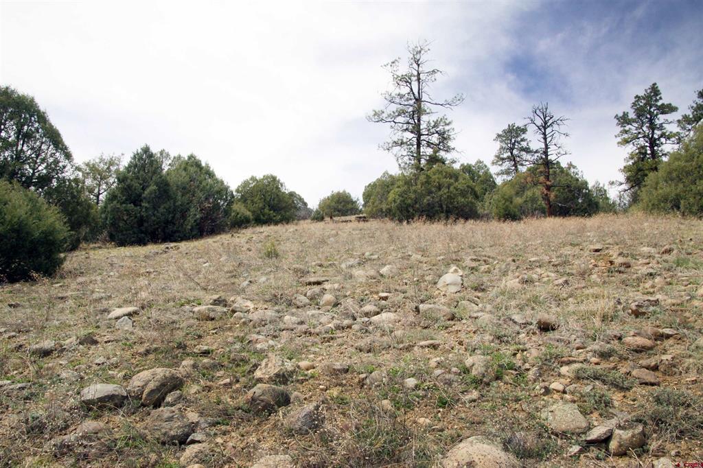 206 Alcazar Place Pagosa Springs CO 81147