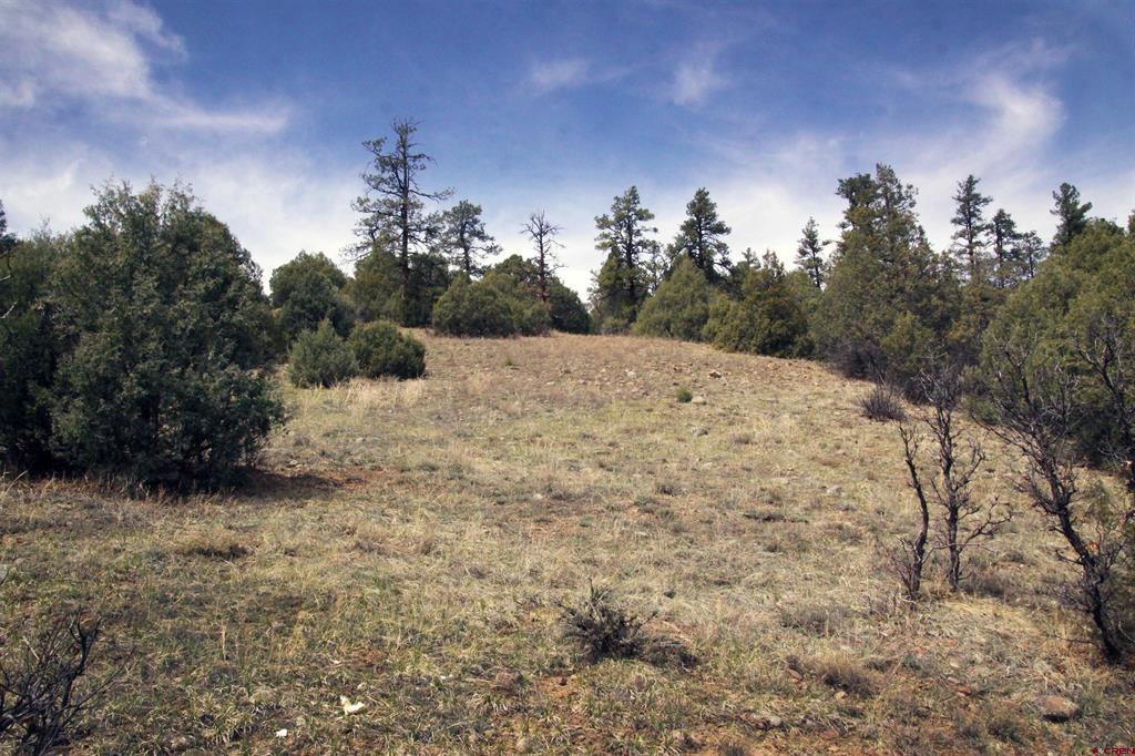 206 Alcazar Place Pagosa Springs CO 81147