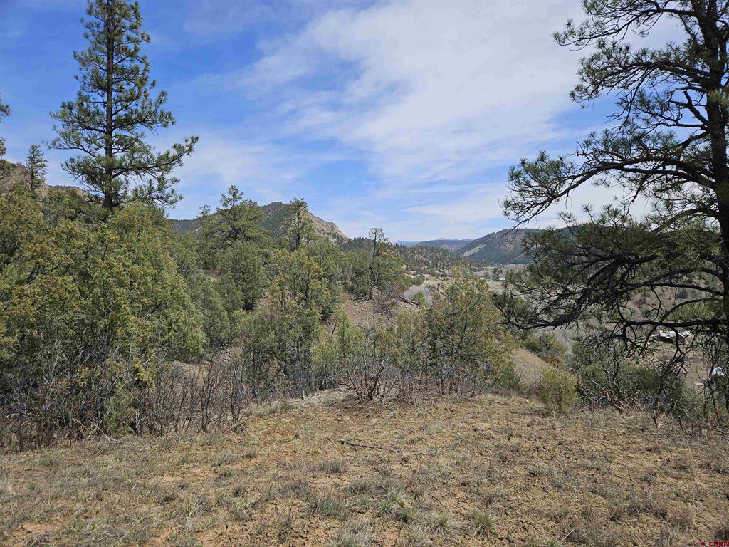 206 Alcazar Place Pagosa Springs CO 81147