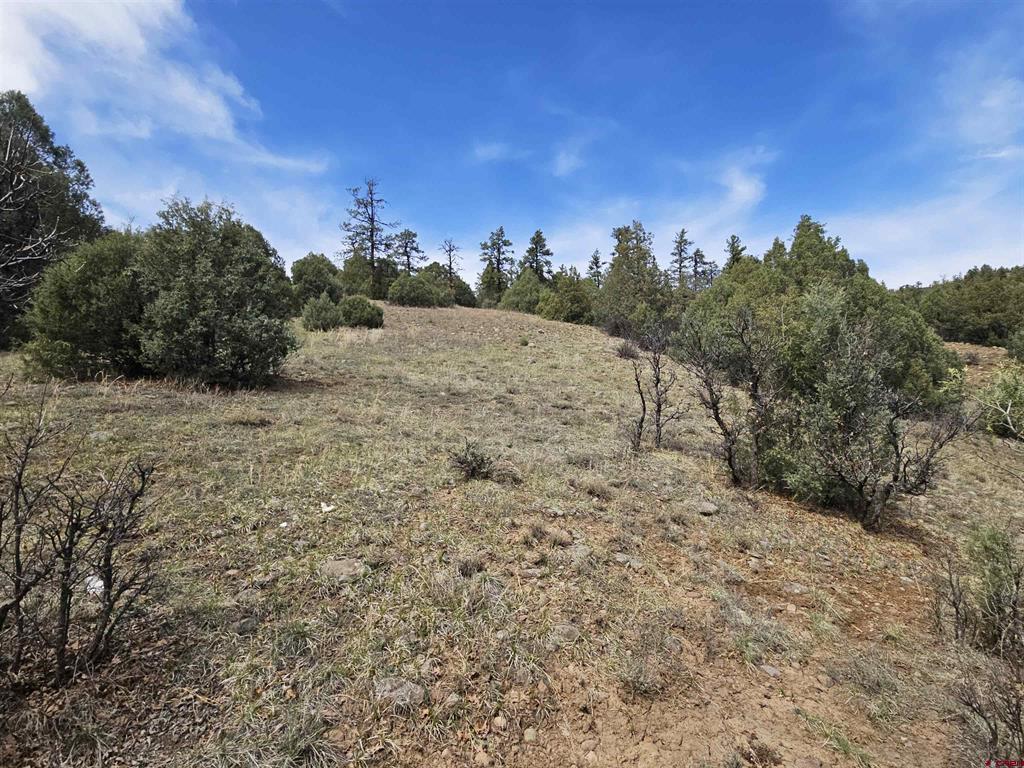 206 Alcazar Place Pagosa Springs CO 81147
