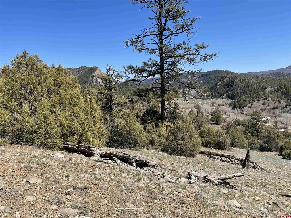 206 Alcazar Place Pagosa Springs CO 81147