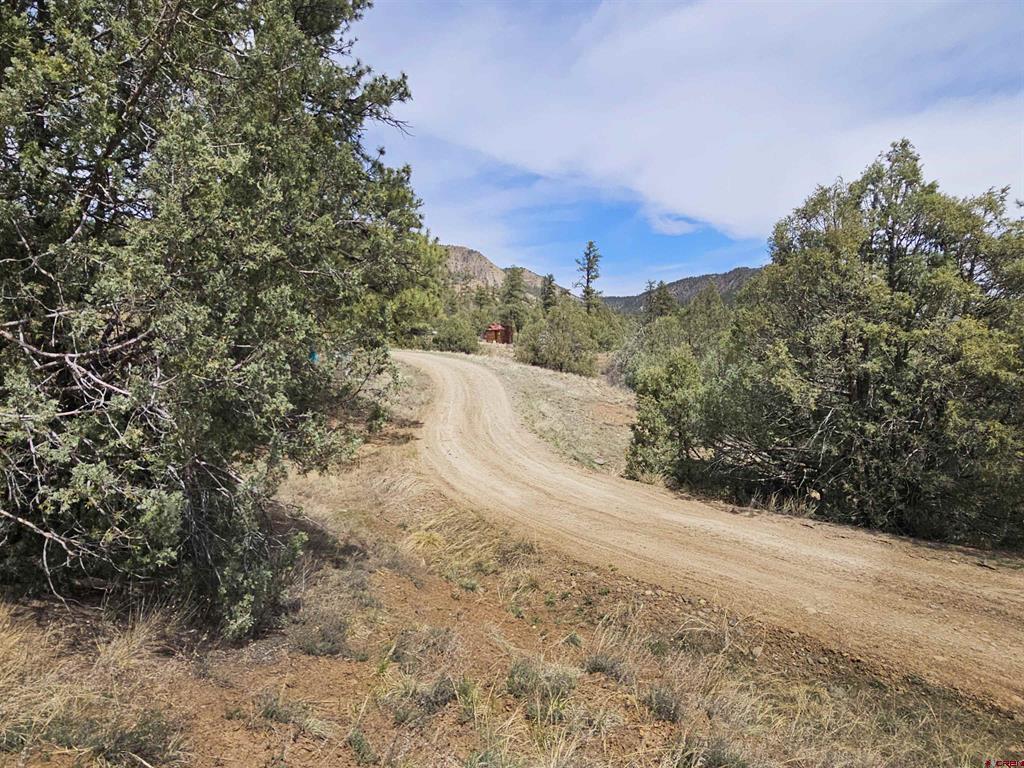 206 Alcazar Place Pagosa Springs CO 81147