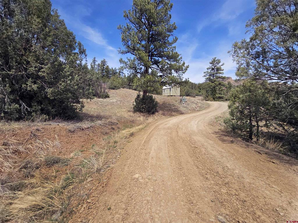 206 Alcazar Place Pagosa Springs CO 81147