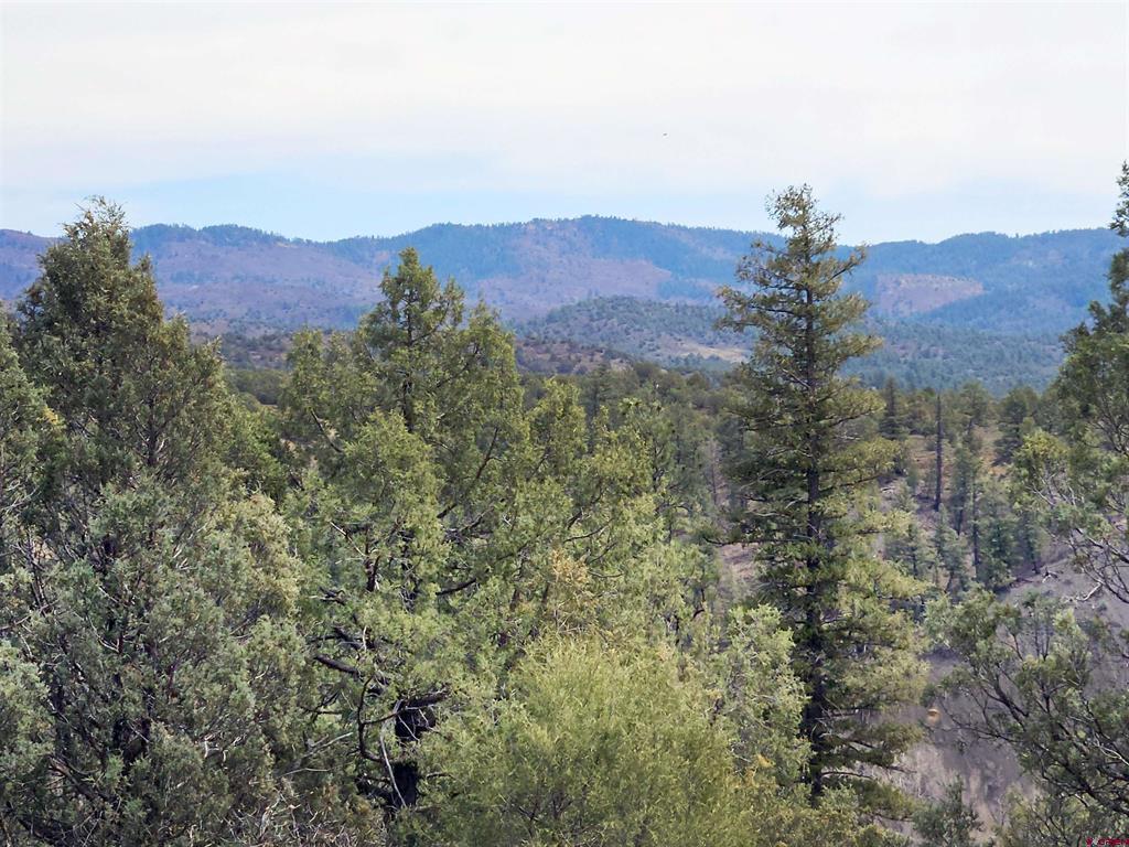 206 Alcazar Place Pagosa Springs CO 81147