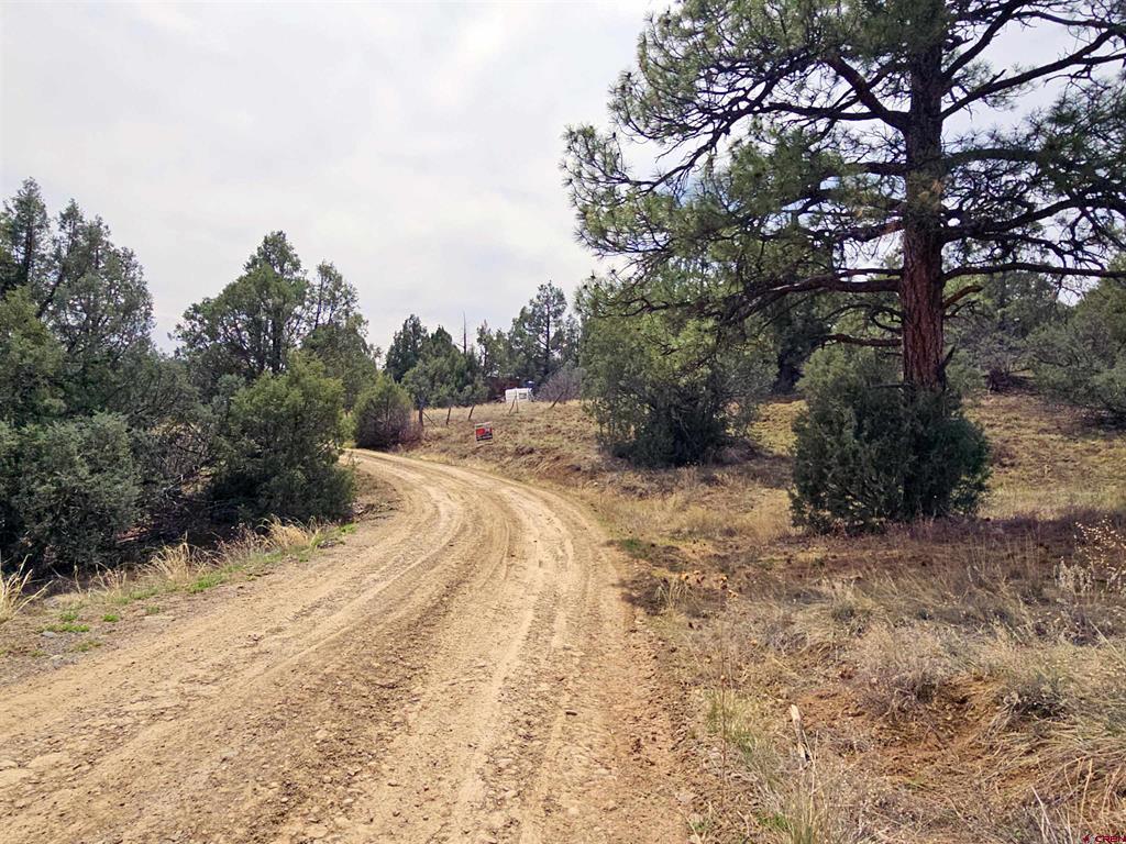 206 Alcazar Place Pagosa Springs CO 81147