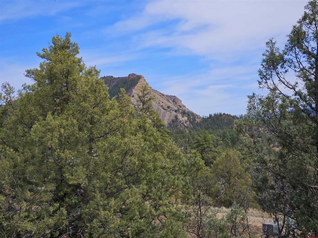 206 Alcazar Place Pagosa Springs CO 81147