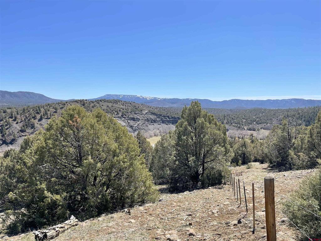 206 Alcazar Place Pagosa Springs CO 81147