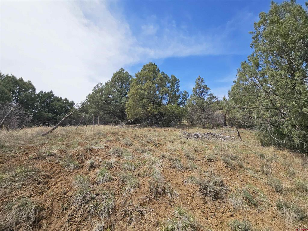 206 Alcazar Place Pagosa Springs CO 81147