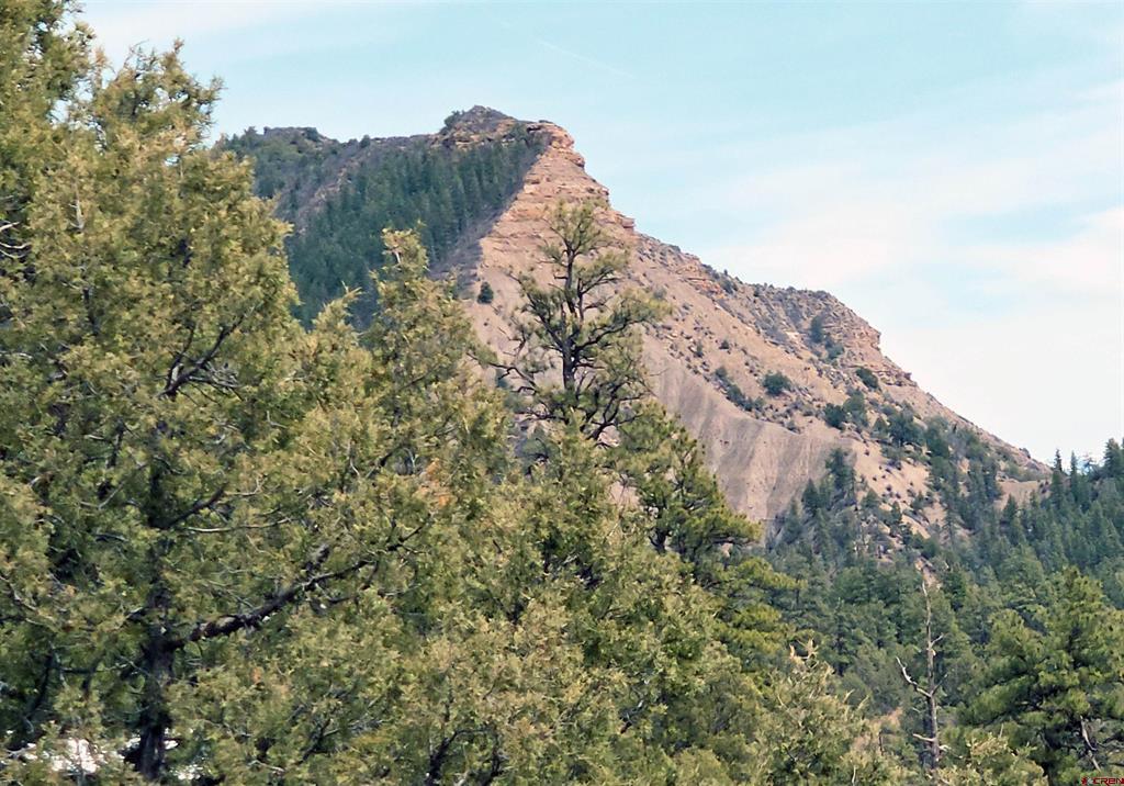 206 Alcazar Place Pagosa Springs CO 81147