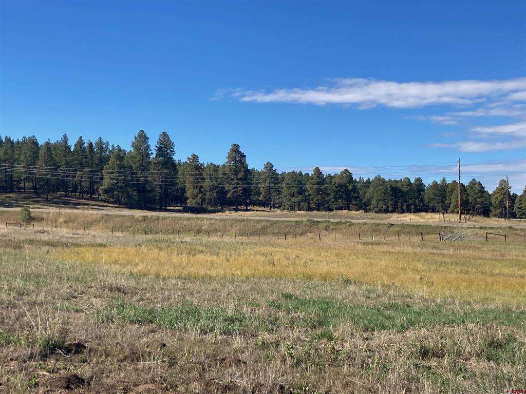 X Us Highway 84 Pagosa Springs CO 81147
