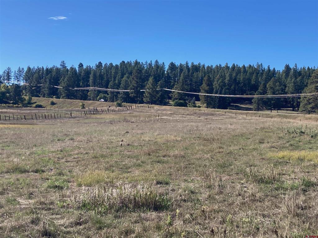 X Us Highway 84 Pagosa Springs CO 81147