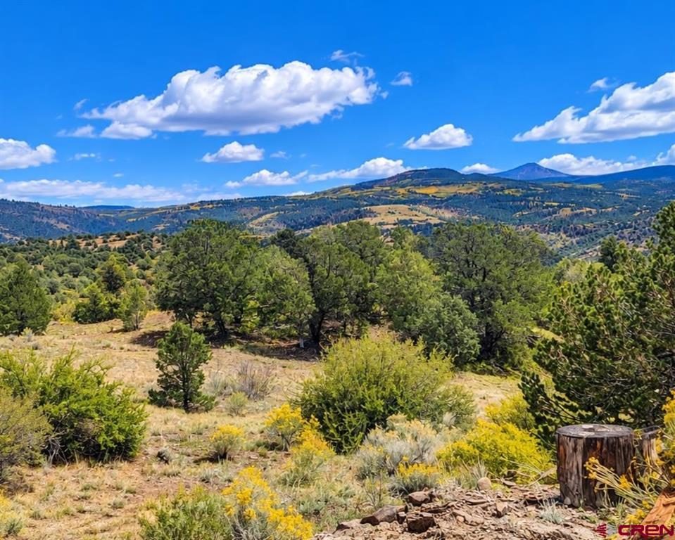 398 Wild Horse Trail South Fork CO 81154